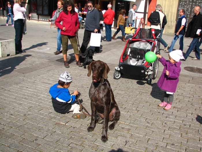 Asco und Inca in der Stadt Würzburg mit Kindern